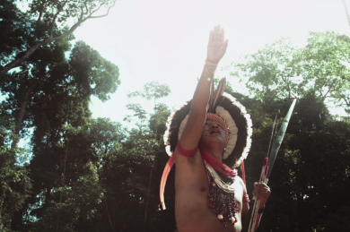 “Diários da Floresta” estreia no Canal Brasil