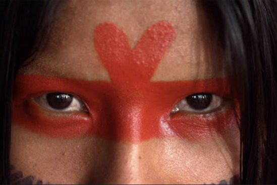 Amazônia Sociedade Anônima