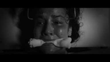 Colônia | Tudo vem, tudo vai