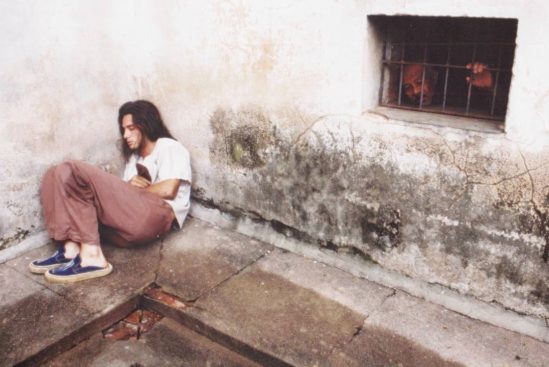 Bicho de Sete Cabeças