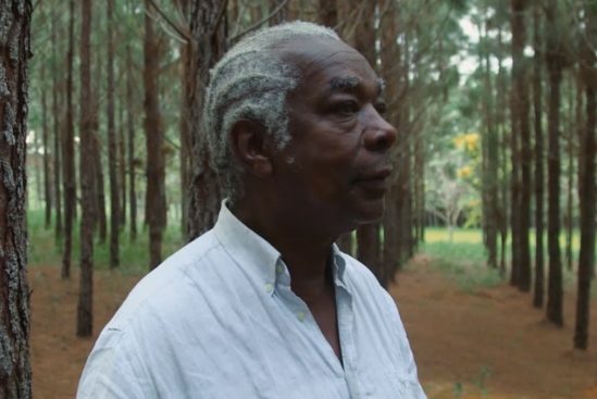 Aleluia, o Canto Infinito do Tincoã