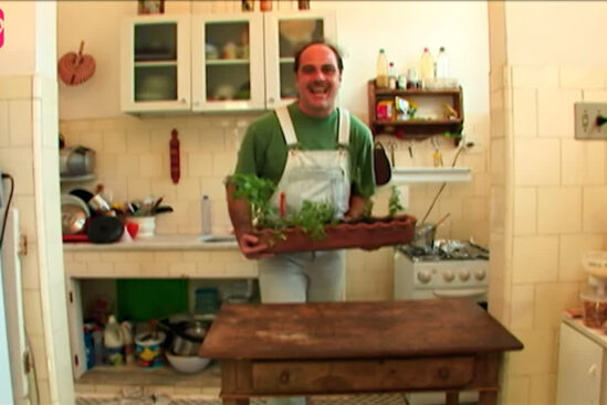 LARICA TOTAL – Não Compre, Plante!