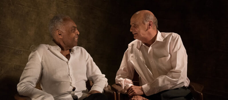 AMIGOS, SONS E PALAVRAS – Drauzio Varela