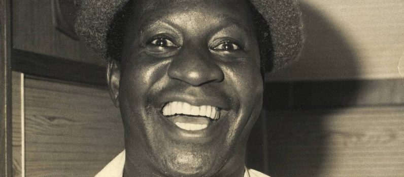 Mussum, Um Filme do Cacildis