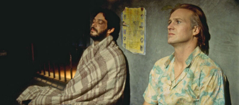 O Beijo da Mulher Aranha