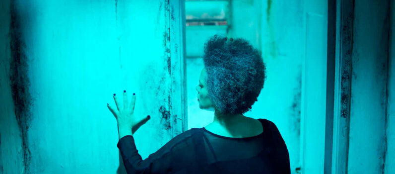 NOTURNOS – Os Ossos do Ofício