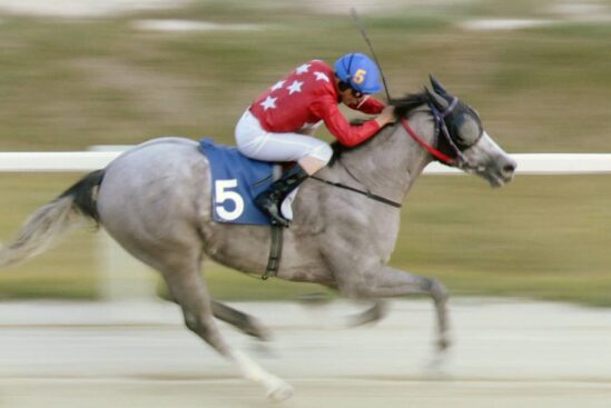 Um Jóquei Cearense na Coréia