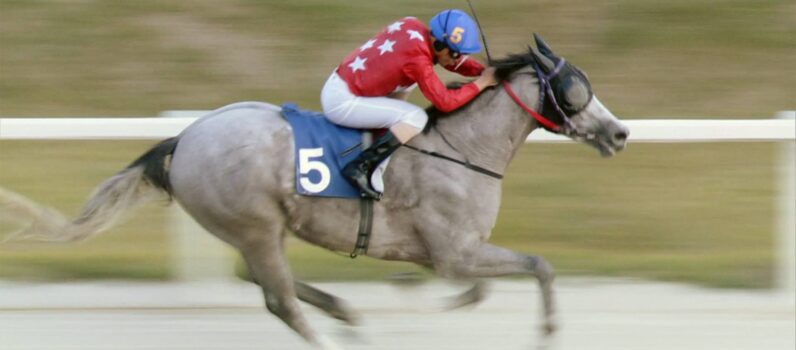 Um Jóquei Cearense na Coréia