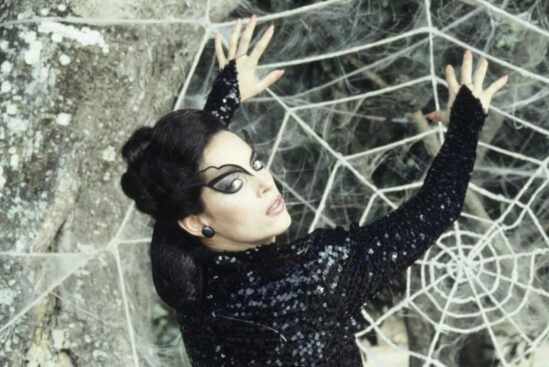 O Beijo da Mulher Aranha