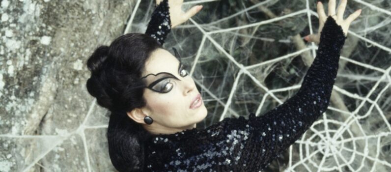 O Beijo da Mulher Aranha