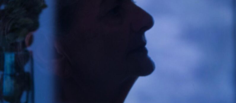 Da Janela Vejo o Mundo