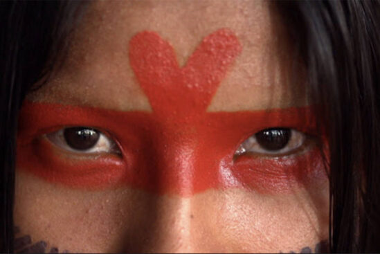 Amazônia Sociedade Anônima