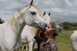 Lenita – Inédito