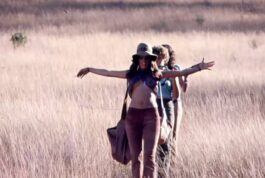 O Barato de Iacanga – Estreia