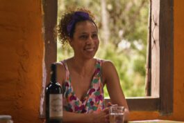 Os Sapos – Coprodução – Estreia