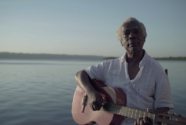 Aleluia, o Canto Infinito do Tincoã