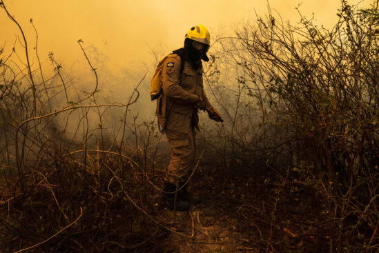 Sinfonia da Sobrevivência – Inédito