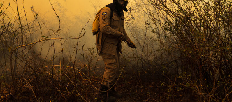 Sinfonia da Sobrevivência – Inédito