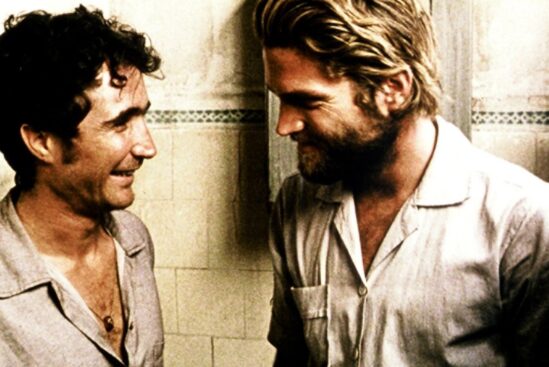 Cinema, Aspirinas e Urubus