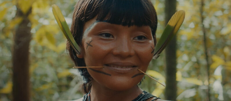 A Última Floresta – Estreia