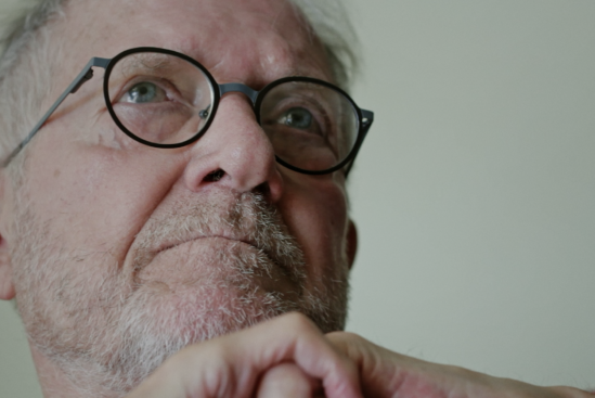 Os Ruminantes